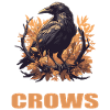 Crows Crow
