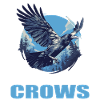 Crows Crow