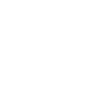 American Eskimo Dog