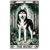 The Husky
