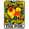 The Pom