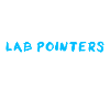 Lab Pointer