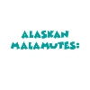 Malamute d’Alaska