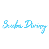 Scuba Diver Scuba Diving