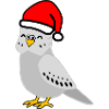 Noël - Perruche grise festive