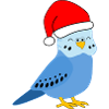 Noël - Perruche bleue festive