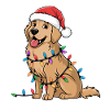 Golden Retriever Lampki świąteczne Xmas Dogs Prezenty