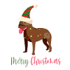 American Bulldog, Bully, Christmas, Christmas