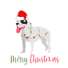 American Bulldog, Bully, Christmas, Christmas