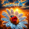 Ladybug and Flower