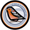 Chaffinch
