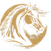 Motivational horse
