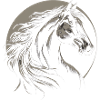 Moon horse