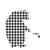 Father Bear