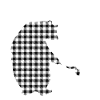 Aunt Bear