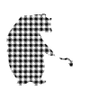 Big Brother Bear