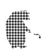 Cousin Bear