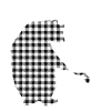 Grandma Bear