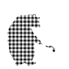 Mama Bear