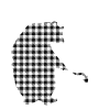 Mother Bear