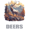 Deer Deer