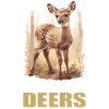 Deer Deer