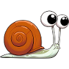 Snail