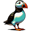 Puffin