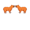 Programmierer Wombat Software Computer PC