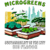 MICROGREENS SUSTAINABILITY IN THE CITY