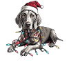 Weimaraner Dog Santa Hat Xmas