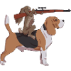 Hunting Hare