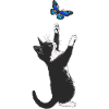 Kitty Butterfly