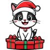 Katze Weihnachten Geschenke