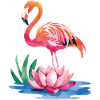 Flamingo