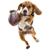 Beagle
