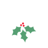 Houx de Noël