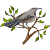 Bunter Vogel
