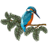 Bunter Vogel