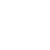 Cheval abstrait blanc