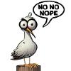 Be seagull no