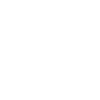 Mystical fairy with detailed wings
