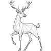 Reindeer Grace