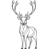 Lone Deer