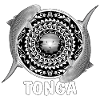 Tonga Tiger Shark