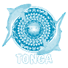 Tonga Bull Shark