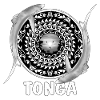 Tonga Blue Sharks
