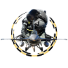 Pilot