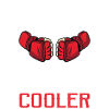 Sport Définition MMA