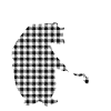 Sister Bear